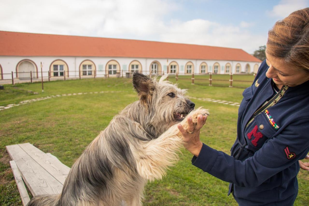 Chalets Franciska Major, Pro Village Sopronkovesd Eksteriør bilde